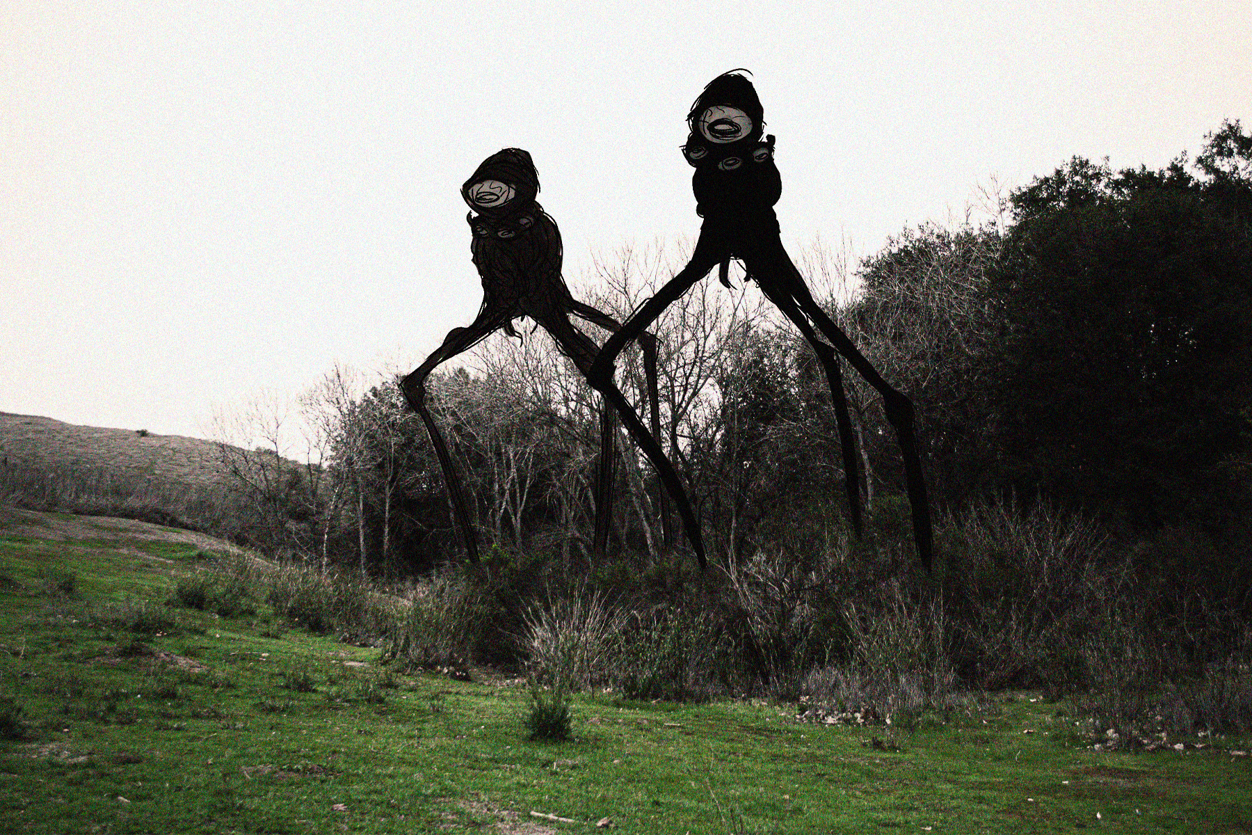 Domenic DiSalvo creatures on grass